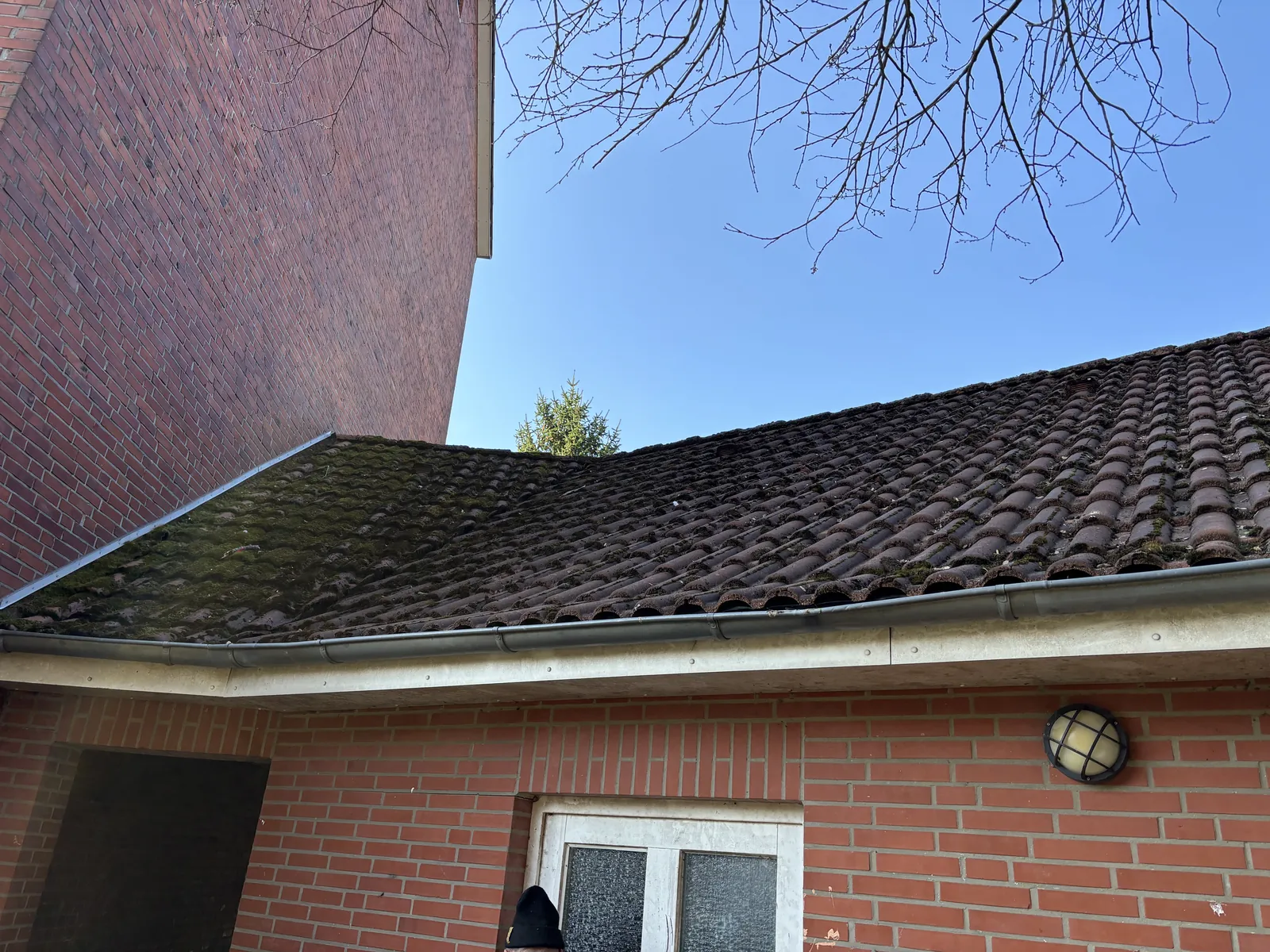 Dach vor der Reinigung